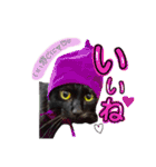 黒猫ゴンにゃ（個別スタンプ：2）
