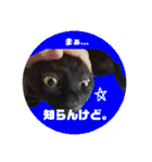 黒猫ゴンにゃ（個別スタンプ：3）