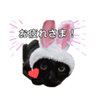 黒猫ゴンにゃ（個別スタンプ：7）