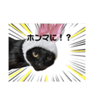 黒猫ゴンにゃ（個別スタンプ：9）