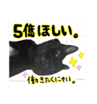 黒猫ゴンにゃ（個別スタンプ：14）