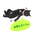 黒猫ゴンにゃ（個別スタンプ：17）