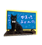 黒猫ゴンにゃ（個別スタンプ：21）