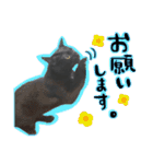 黒猫ゴンにゃ（個別スタンプ：23）