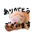 まるまめちゃん（個別スタンプ：5）