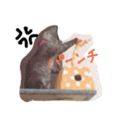 まるまめちゃん（個別スタンプ：9）