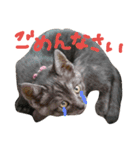 まるまめちゃん（個別スタンプ：10）