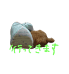 まるまめちゃん（個別スタンプ：15）