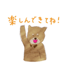 イヌと生活（個別スタンプ：3）