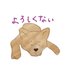 イヌと生活（個別スタンプ：18）