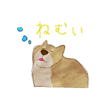 イヌと生活（個別スタンプ：21）