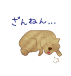 イヌと生活（個別スタンプ：30）