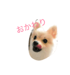 ブレロースタンプ 1♪（個別スタンプ：2）