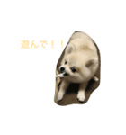 ブレロースタンプ 1♪（個別スタンプ：6）