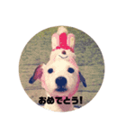 ジャックファミリー2（個別スタンプ：11）