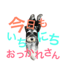 もずくです（個別スタンプ：2）
