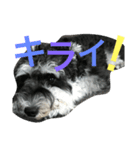 もずくです（個別スタンプ：3）