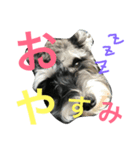 もずくです（個別スタンプ：4）