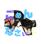 もずくです（個別スタンプ：5）
