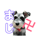 もずくです（個別スタンプ：6）