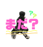 もずくです（個別スタンプ：8）