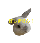 大天使まろすけ（個別スタンプ：3）