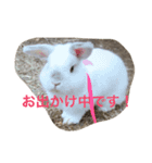 大天使まろすけ（個別スタンプ：6）