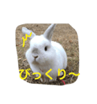 大天使まろすけ（個別スタンプ：8）