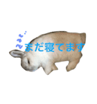 大天使まろすけ（個別スタンプ：14）