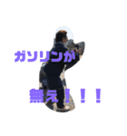 愉快な緑道会2（個別スタンプ：17）