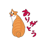 でんすけ(=^ェ^=)（個別スタンプ：1）