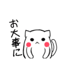 猫のあいさつ - MEOW MEOW（個別スタンプ：27）