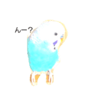 宅インコ（個別スタンプ：3）