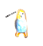 宅インコ（個別スタンプ：6）