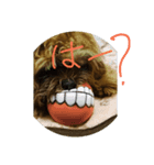 人面犬の茶々丸（個別スタンプ：5）