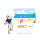 【夏ver.】白クマみたいなトイプー♡（個別スタンプ：1）