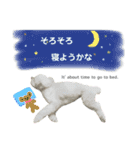 【夏ver.】白クマみたいなトイプー♡（個別スタンプ：8）