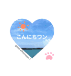 【夏ver.】白クマみたいなトイプー♡（個別スタンプ：13）