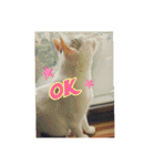 つくし、みけねこ（個別スタンプ：8）