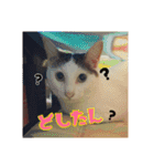 つくし、みけねこ（個別スタンプ：10）