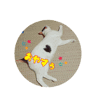 つくし、みけねこ（個別スタンプ：14）