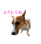 毎日ピース（個別スタンプ：1）
