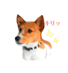 毎日ピース（個別スタンプ：2）