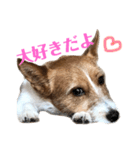 毎日ピース（個別スタンプ：12）