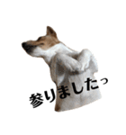 毎日ピース（個別スタンプ：14）