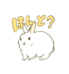 うさぎのシロ（個別スタンプ：1）