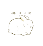 うさぎのシロ（個別スタンプ：3）