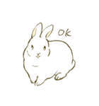 うさぎのシロ（個別スタンプ：4）