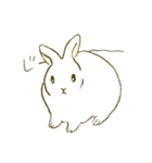 うさぎのシロ（個別スタンプ：8）