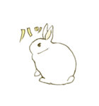 うさぎのシロ（個別スタンプ：9）